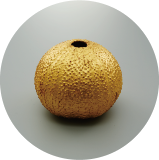 海胆金箔押花入